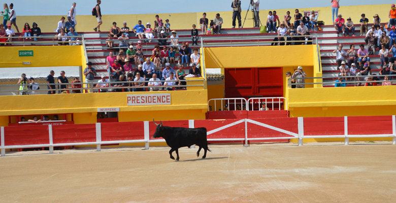 Arènes Saintes Maries de la Mer